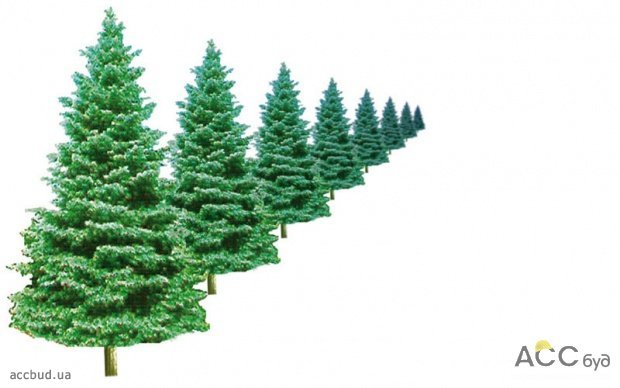 Линейная+воздушная+очертаний (Фото: С. Семенов)